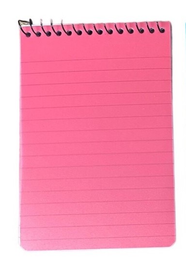 Canox Ruled Hand Diary ,Rose